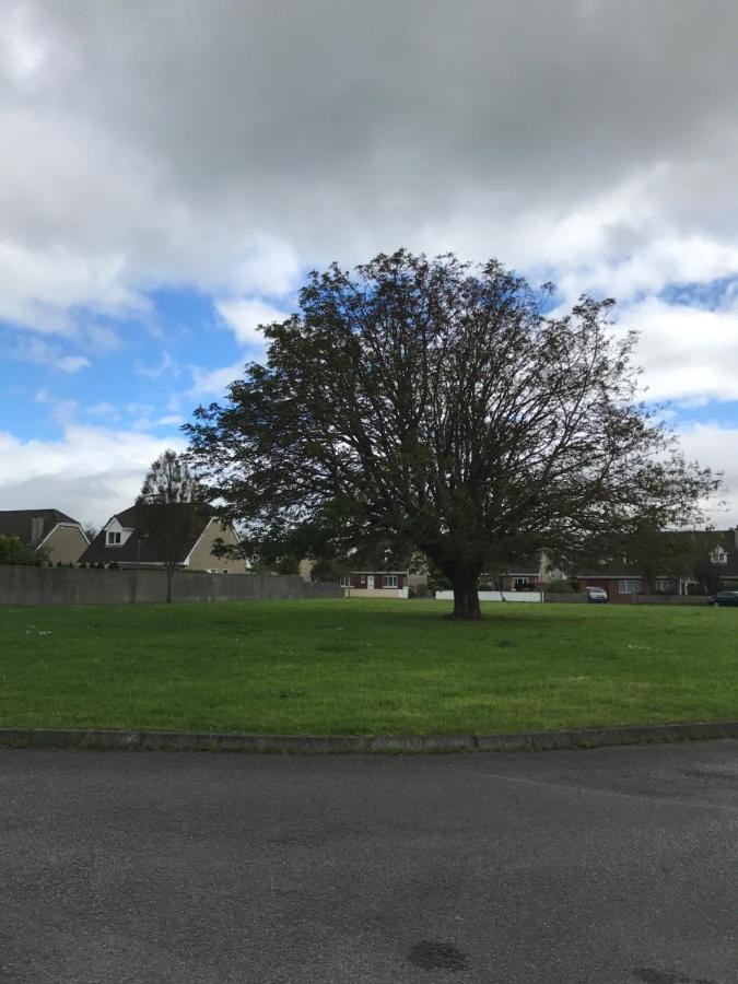 Home From Home Tralee Buitenkant foto